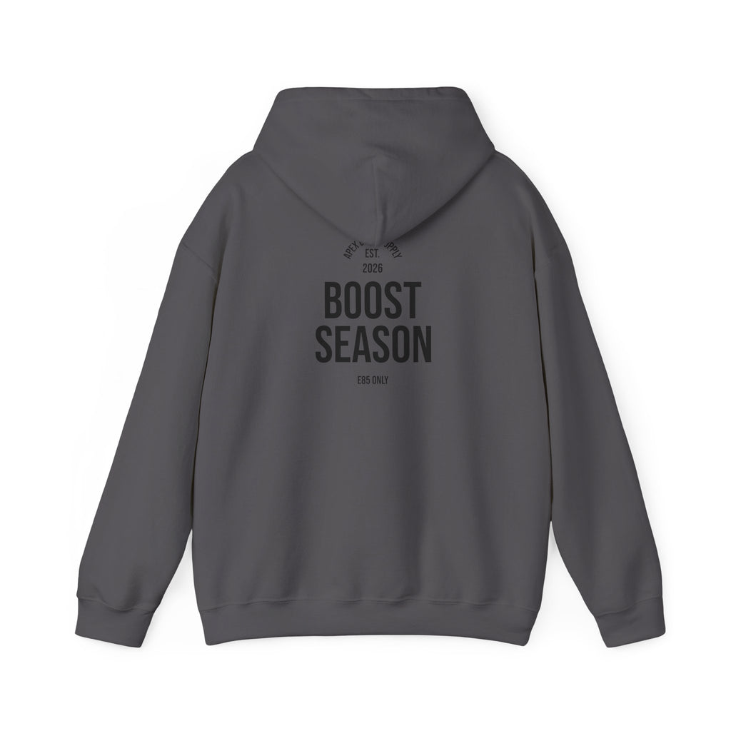 Boost Season hoodie (E85)