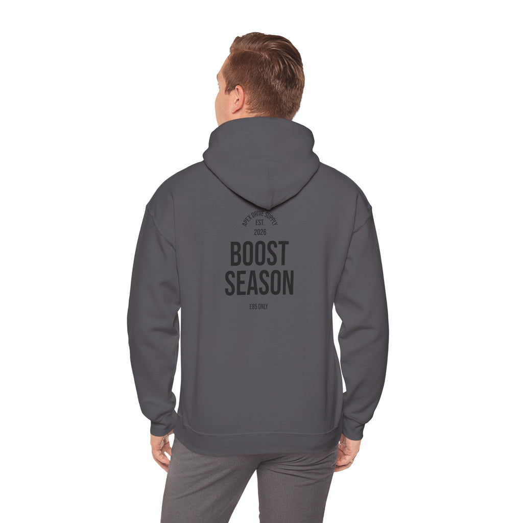 Boost Season hoodie (E85)