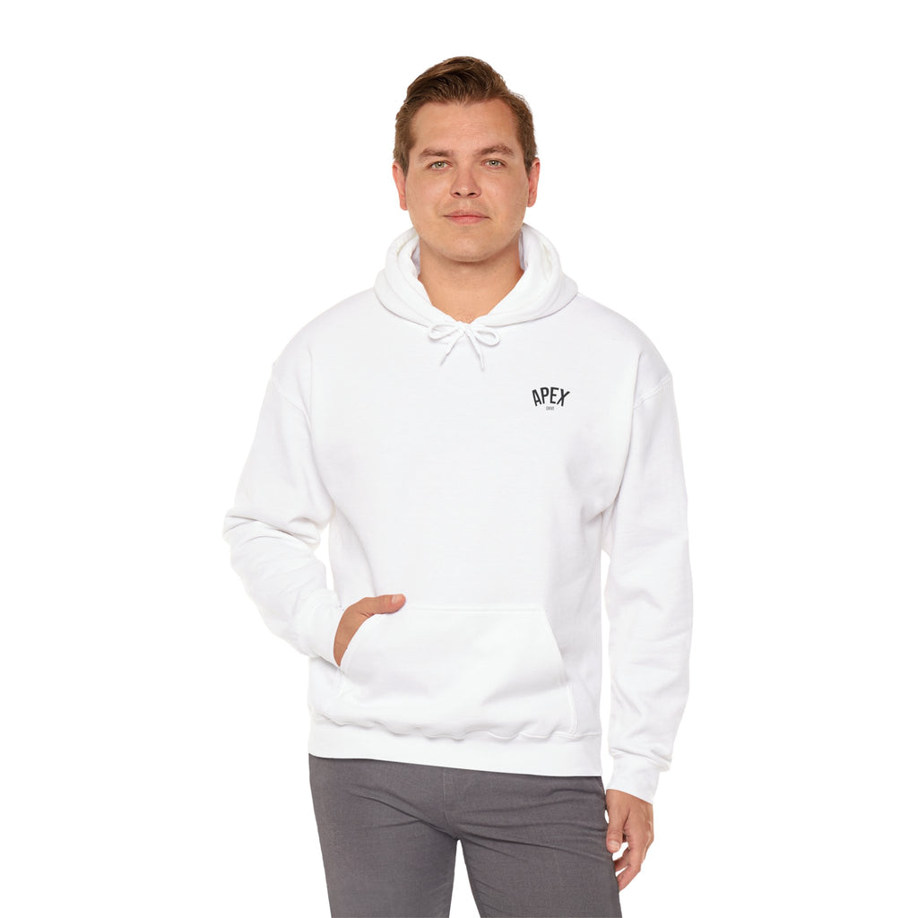 Boost Season hoodie (E85)